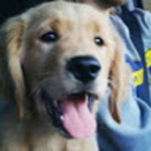 Meet your Posher, Bianca